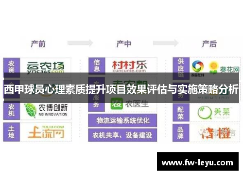 西甲球员心理素质提升项目效果评估与实施策略分析