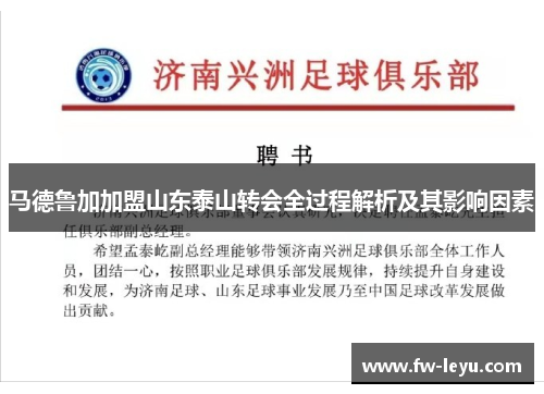 马德鲁加加盟山东泰山转会全过程解析及其影响因素