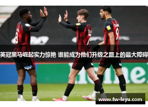 英冠黑马崛起实力惊艳 谁能成为他们升级之路上的最大障碍