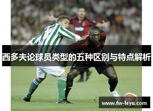 西多夫论球员类型的五种区别与特点解析