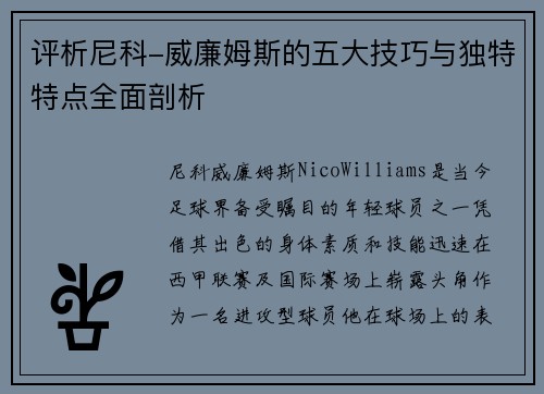 评析尼科-威廉姆斯的五大技巧与独特特点全面剖析