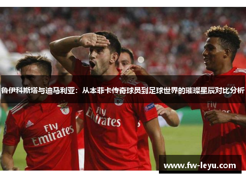 鲁伊科斯塔与迪马利亚：从本菲卡传奇球员到足球世界的璀璨星辰对比分析
