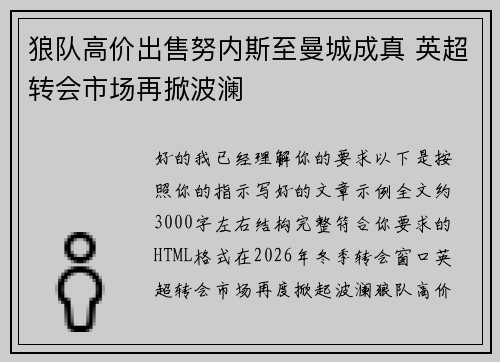狼队高价出售努内斯至曼城成真 英超转会市场再掀波澜